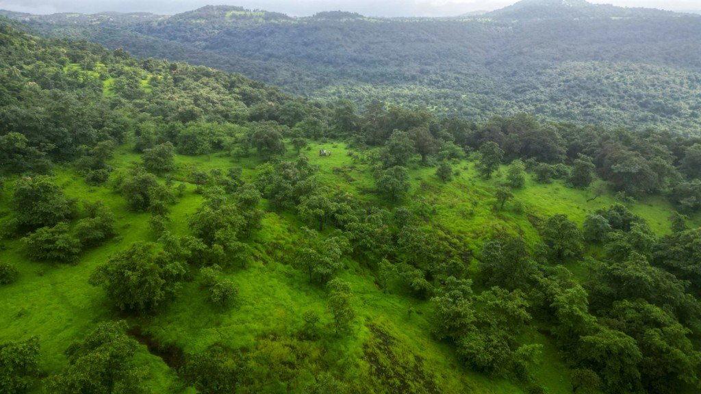 Identified agricultural plots in the Mandangad hills